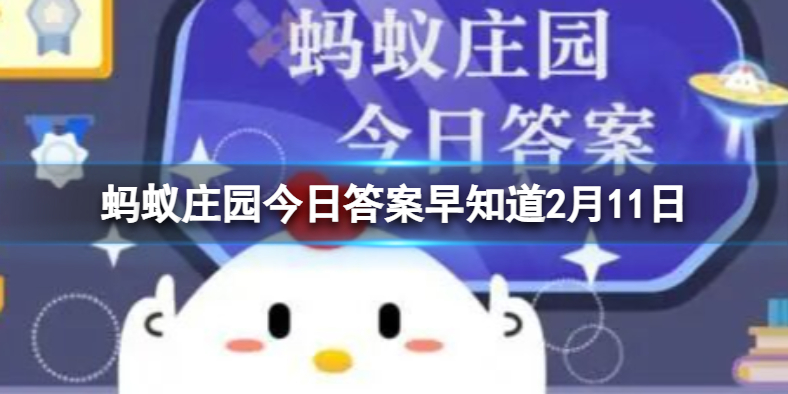 螞蟻莊園答案最新揭秘，探索莊園奧秘，樂享知識之旅